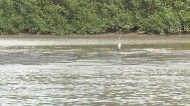 qn-tour-tempisque-060220