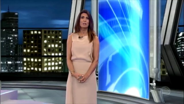 Cachorro invade casamento, deita no veu da noiva e viraliza na internet