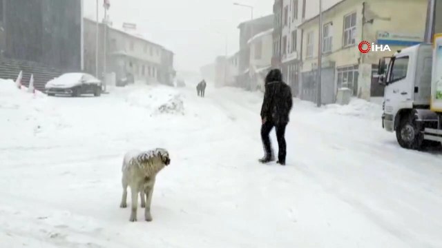 Bingöl'de Tipi...Karlıova-Erzurum Yolu Kapatıldı, Okullar Tatil Edildi