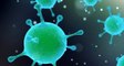Korona virüs belirtileri nelerdir? Koronavirüsün tedavisi nasıl yapılır? Koronavirüs nedir?