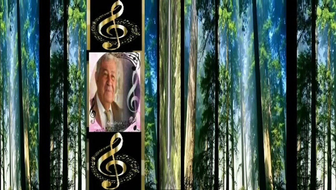 Geçti Gitti Zaman ٭٭ müzik İlgün SOYSEV ٭٭sözler video tasarım Aynur AVCI