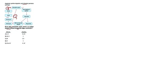 Sıradışı Analiz Yayınları TYT 6. Deneme Sınavı - Fen 15.  Soru