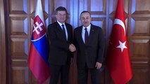 Çavuşoğlu'nun slovakya dışişleri ve avrupa işleri bakanı miroslav lajcak'ı karşılaması ve...