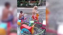 Funniest  Dogs and  Cats - Awesome Funny Pet Animals' Life Videos