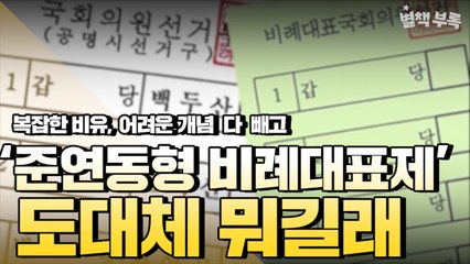 [별책부록] 도대체 '준연동형 비례대표제'가 뭐길래 / YTN