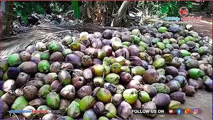 സംസ്ഥാന ബജറ്റ് ;നെൽക്കൃഷിക്ക് ​ 118 കോടി, കശുവണ്ടി മേഖലക്ക് 135 കോടി