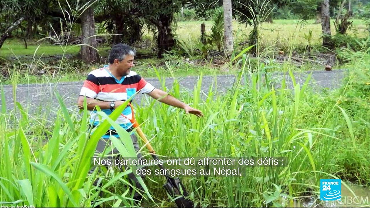 Biodiversité : graines en danger