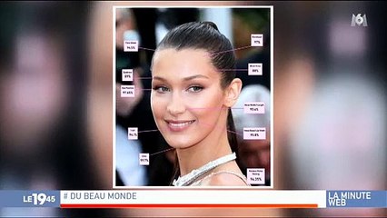 Un babouin sauve un lionceau et reproduit une scène culte du «Roi Lion » - VIDEO