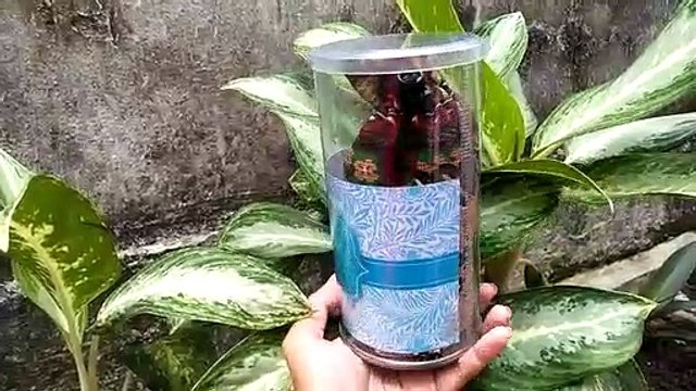 PROMO!!! +62 813-2666-1515, Harga Sajadah Kecil Untuk Souvenir Banda Aceh