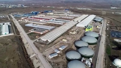 Amasya'daki Besi OSB gübreden elektrik üreterek ekonomiye de katkı sağlıyor