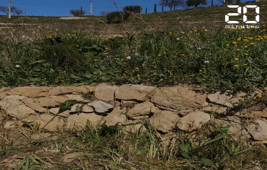 Des formations sur les murs en pierres sèches, un savoir-faire classé à l’Unesco