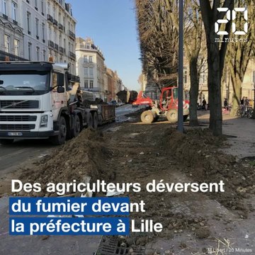 Lille: Des tonnes de fumier déversées devant la Préfecture