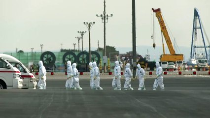 Un pasajero argentino del crucero en Japón da positivo al nuevo coronavirus