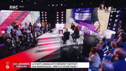 Municipales 2020 : êtes-vous prêts à voter pour le Parti Animaliste ? - 07/02