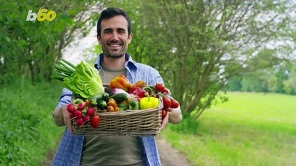 How to Ditch Meat for Good and Go Plant Based