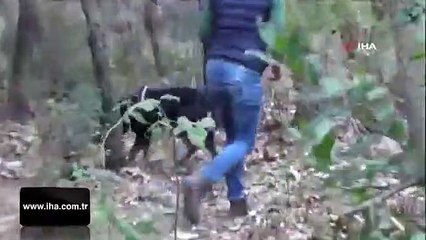 Kanlı eylem hazırlığı yapan teröristler böyle yakalandı