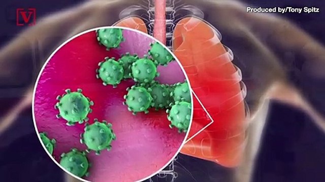 Fleet of Robots Deployed Amidst Coronavirus Epidemic