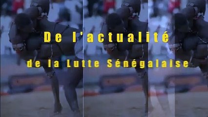 Abonnez-vous à La nouvelle Chaîne Spécialisée dans le résumé de l’actualité de la Lutte Sénégalaise