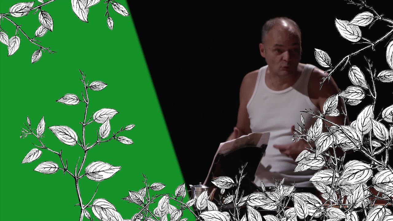 Francis Poulenc/Jean de Brunhoff : L'Histoire de Babar, Enfance de Babar