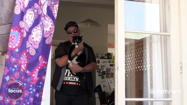 Jasper, le chat qui vole les vêtements de ses voisins