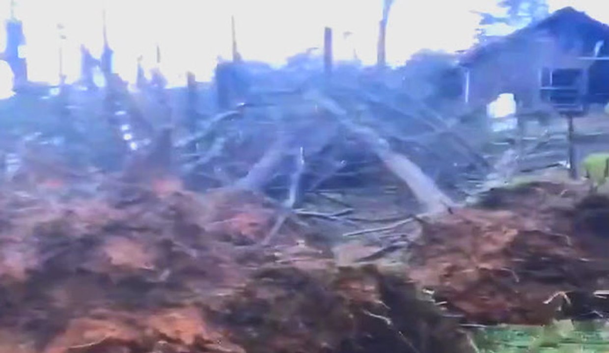 Possible tornado damage ripped trees from ground