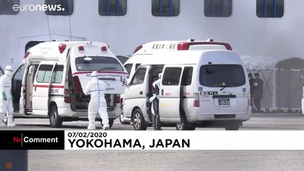 Coronavirus : ce navire de croisière est mis en quarantaine au Japon