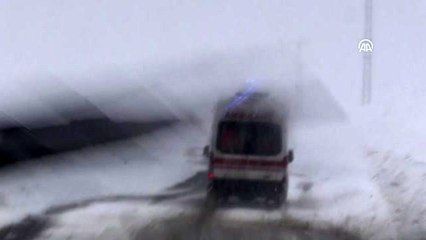 Kar ve tipide felçli kadını 4 saatte hastaneye ulaştırdılar