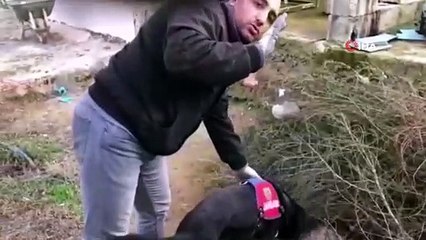 Şanlıurfa'da toprağa gömülü halde satışa hazır 20 kilo esrar ele geçirildi
