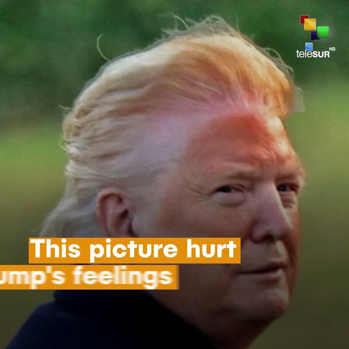 A picture hurt Trump's feelings