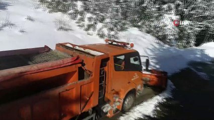 Ağaç tünellerde kar güzelliği