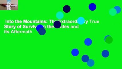 Into the Mountains: The Extraordinary True Story of Survival in the Andes and its Aftermath