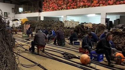 La almadraba de Conil (Cádiz) comienza su temporada