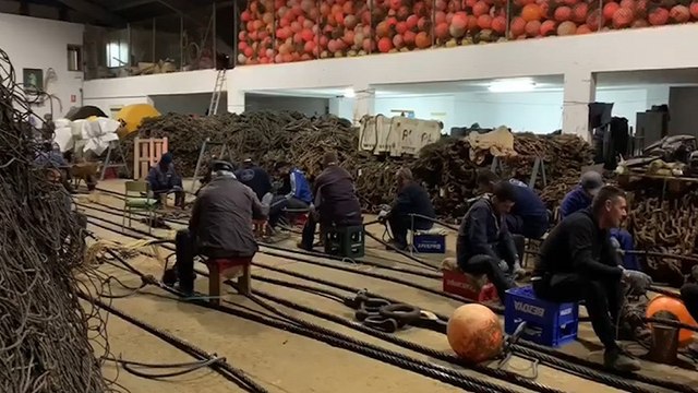 La almadraba de Conil (Cádiz) comienza su temporada