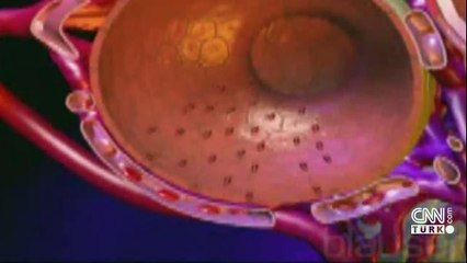 Türk bilim insanı Hatice Altuğ'un büyük başarısı