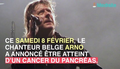 Cancer du pancréas : le chanteur belge Arno parle de sa maladie