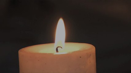 This Trader Joe's Candle Will Make Your House Smell Like Lemon Sugar Cookies