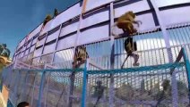 En un Yemen en guerra, animales de los zoológicos luchan para sobrevivir