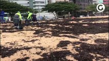 Funcionários da Prefeitura fazem limpeza na Praia de Itapoã