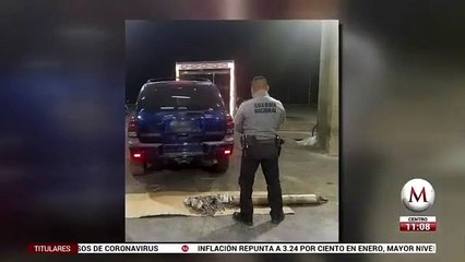 Guardia Nacional asegura armamento en Sonora