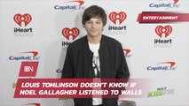 Louis Tomlinson On Walls