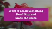 Want to Learn Something New? Stop and Smell the Roses