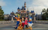 Deciding Between Disneyland and Disney World? Here's Everything You Need to Know About Both Theme Parks