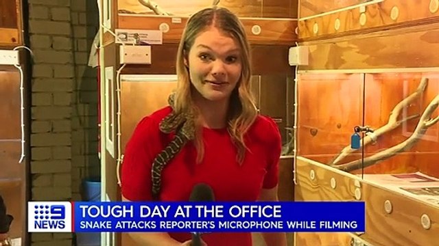 Une journaliste montre les bons gestes à avoir face aux serpents mais le serpent n'est pas d'accord