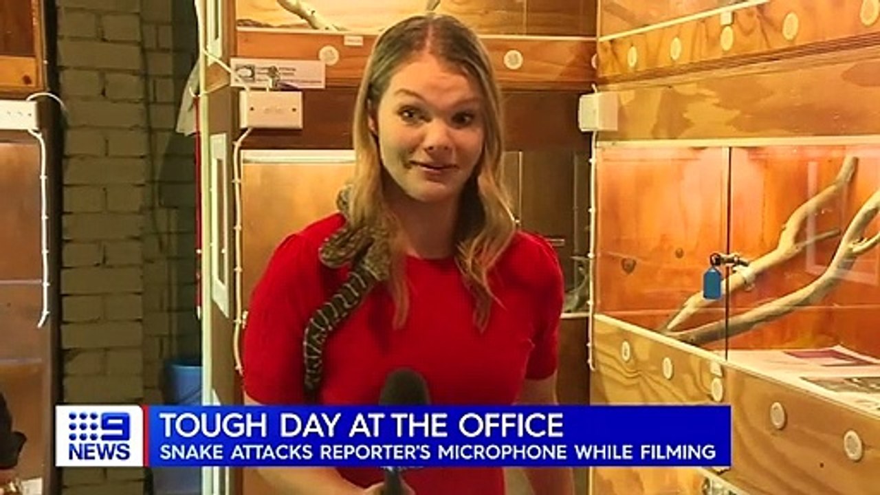 Une journaliste montre les bons gestes à avoir face aux serpents mais le serpent n'est pas d'accord