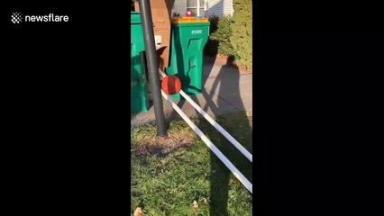 Ohio teen builds EPIC trick shot across entire backyard and house