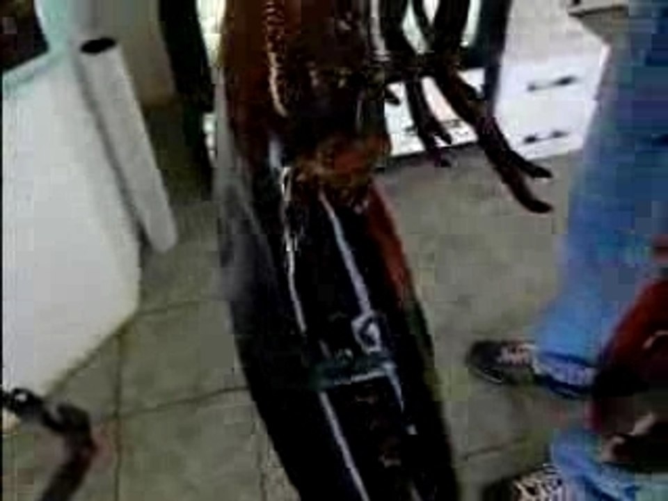 Insolite - Le plus gros homard du monde