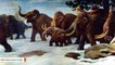 Scientists Resurrect Woolly Mammoth DNA