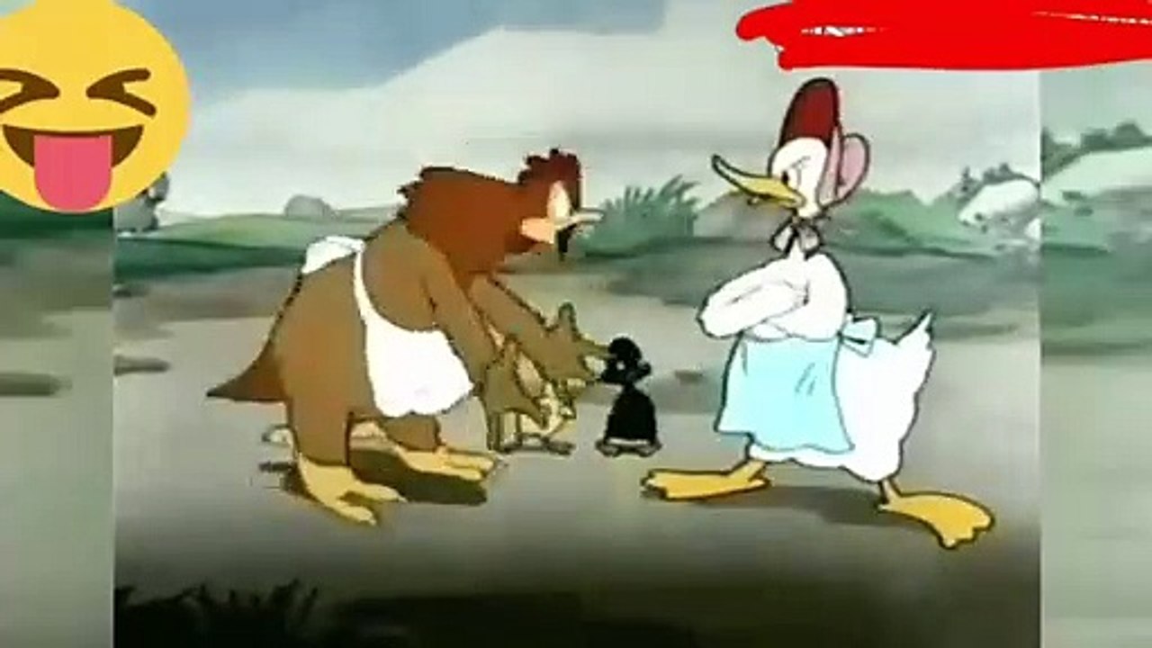 BRIGA DE GALINHA E PATA