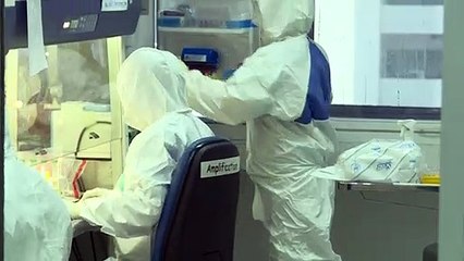 Científicos creen que pangolín es eslabón clave de la transmisión de coronavirus