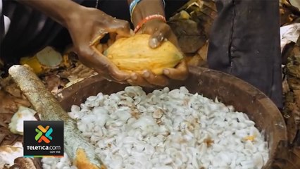 tn7-programa-mejorar-condiciones-productores-cacao-070220